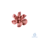 Pastry Nozzle BX4014 Closed Star &Oslash;5mm (Martellato)