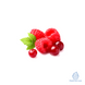 Пюре Малины, Клюквы и Гибискуса замороженное (Ravifruit), 150г