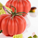 Pomodoro 24 Tomato/Pumpkin silicone mould Ø43mm for dessert by Andrea Valentinetti (Silikomart)